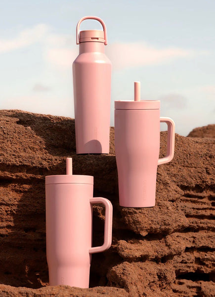 Desert Rose  LEAKPROOF CRUISER - 22oz