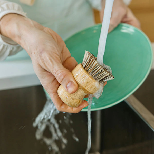 BAMBOO DISH BRUSH