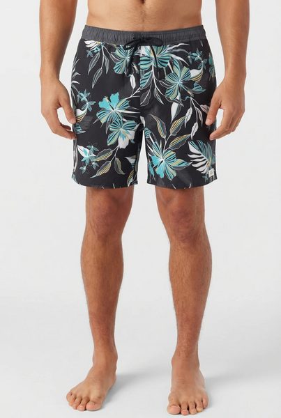 Hermosa Lined Volley Short