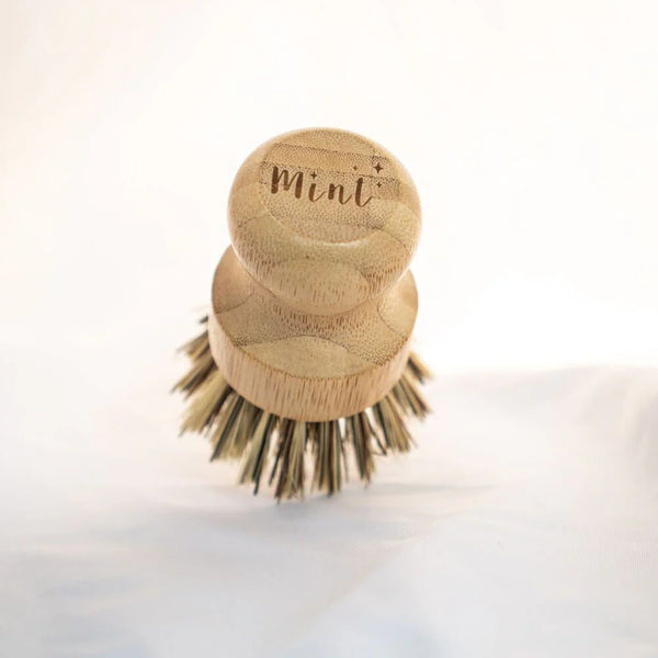 BAMBOO DISH BRUSH