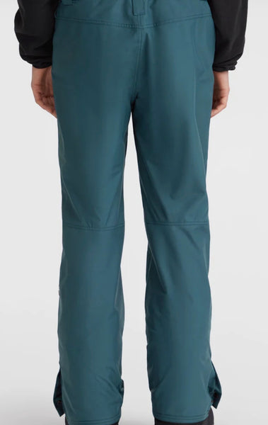 Hammer Insulated Snow Pants - Alma Steel
