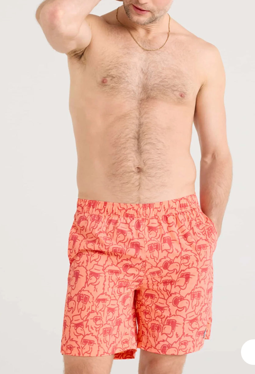 GO COASTAL SHORT - Parrot