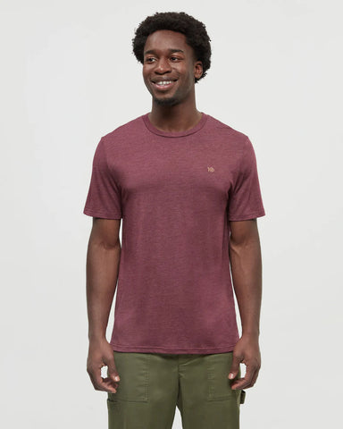 Embroidered Ten T-Shirt-Burgundy Heather Caramel
