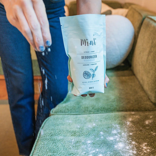 DEODORIZER BAG