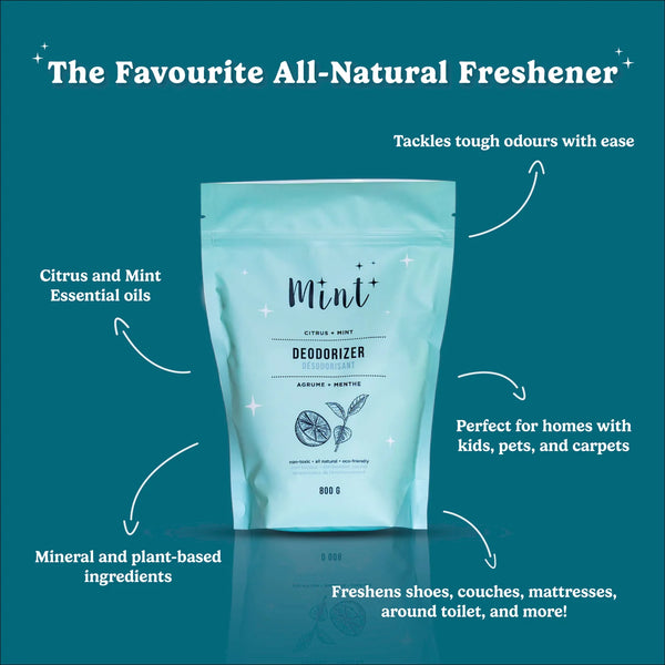 DEODORIZER BAG