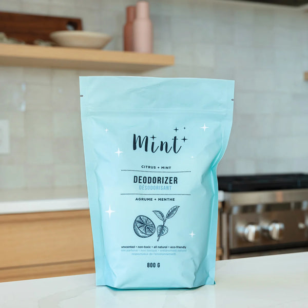 DEODORIZER BAG
