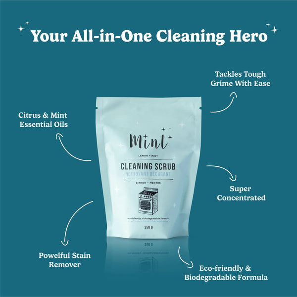 CLEANING SCRUB