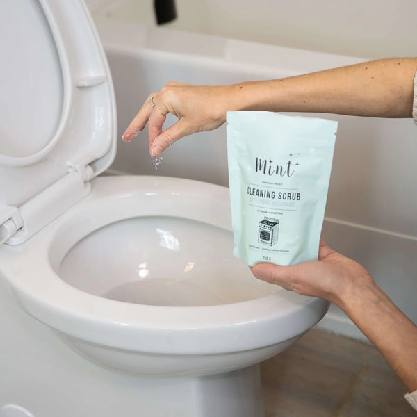 CLEANING SCRUB