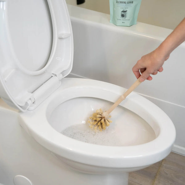 CLEANING SCRUB