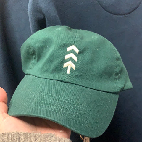 Embroidered Logo Green  Dad Hat