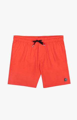 SOLID VOLLEY- Orange