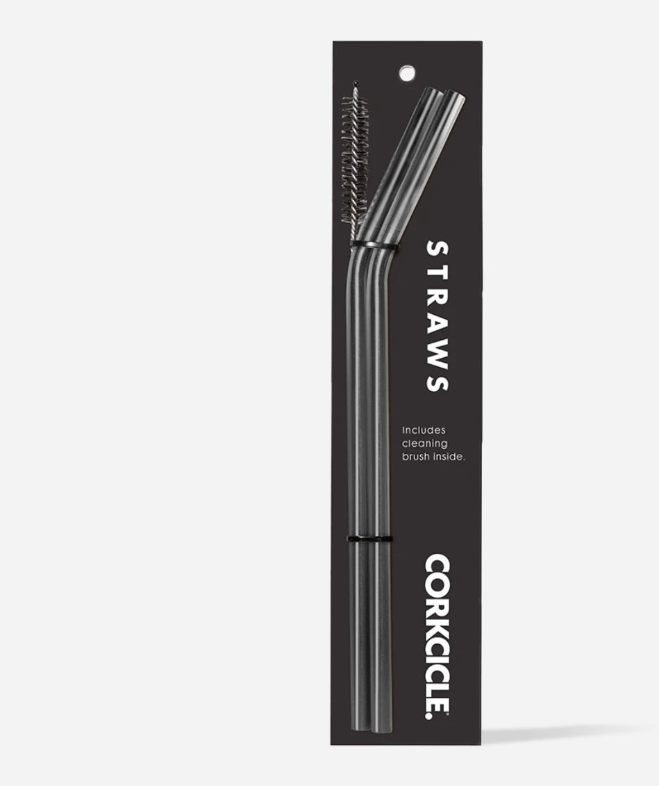 TUMBLER STRAW 2-PACK- Gunmetal