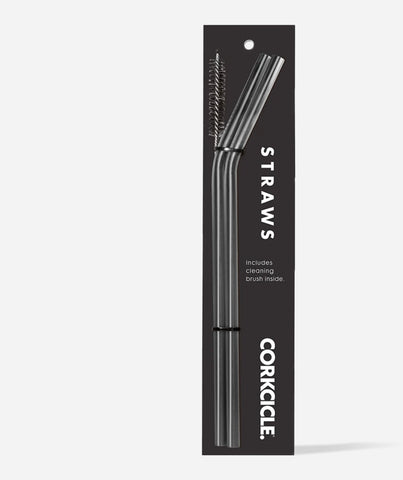 TUMBLER STRAW 2-PACK- Gunmetal